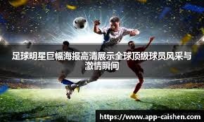 解析“庄家风险分散”：你的风险并不被对等承担。（揭示“庄家风险分散”：你的风险并未被公平分担）